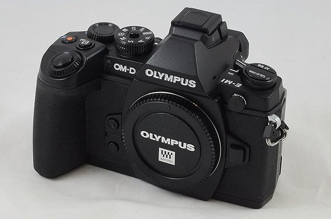 Olympus OM-D E-M1 - Image 1