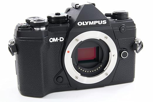 Olympus OM-D E-M1 Mark III - Image 1