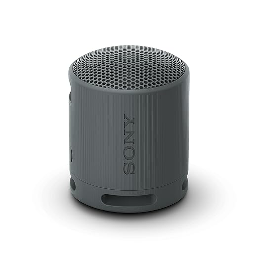 Sony SRS-XB100 - Image 1