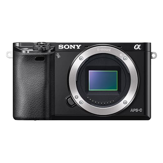 Sony Alpha 6000 (ILCE-6000) (Body Only) - Image 1
